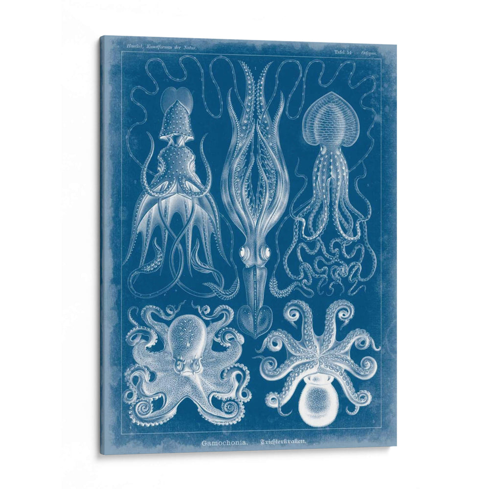Blueprint Marino V - Vision Studio | Cuadro decorativo de Canvas Lab