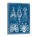 Blueprint Marino V - Vision Studio | Cuadro decorativo de Canvas Lab