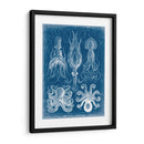 Blueprint Marino V - Vision Studio | Cuadro decorativo de Canvas Lab