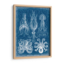 Blueprint Marino V - Vision Studio | Cuadro decorativo de Canvas Lab