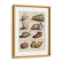 Colección De Cáscara I | Cuadro decorativo de Canvas Lab