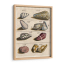 Colección De Cáscara I | Cuadro decorativo de Canvas Lab