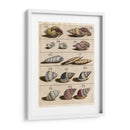 Colección Shell Iii | Cuadro decorativo de Canvas Lab