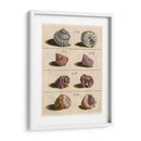 Colección Shell Iv | Cuadro decorativo de Canvas Lab