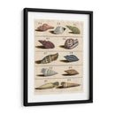 Colección De Cáscara V | Cuadro decorativo de Canvas Lab