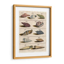 Colección De Cáscara V | Cuadro decorativo de Canvas Lab