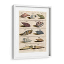 Colección De Cáscara V | Cuadro decorativo de Canvas Lab