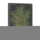 Pino Dramático Ii - Vision Studio | Cuadro decorativo de Canvas Lab