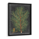 Pino Dramático Ii - Vision Studio | Cuadro decorativo de Canvas Lab
