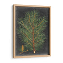Pino Dramático Ii - Vision Studio | Cuadro decorativo de Canvas Lab