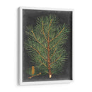 Pino Dramático Ii - Vision Studio | Cuadro decorativo de Canvas Lab