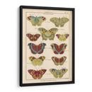 Histoire Naturelle Butteryflies V | Cuadro decorativo de Canvas Lab