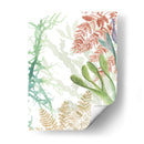 Saladillas Tejidas I - Naomi McCavitt | Cuadro decorativo de Canvas Lab