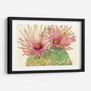 Cactus Blossoms I - Tim OToole | Cuadro decorativo de Canvas Lab