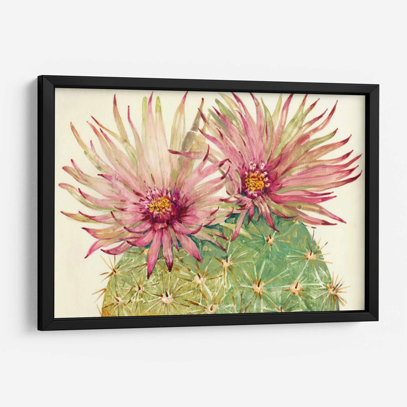 Cactus Blossoms I - Tim OToole | Cuadro decorativo de Canvas Lab