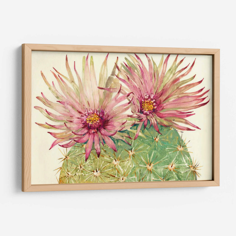 Cactus Blossoms I - Tim OToole | Cuadro decorativo de Canvas Lab