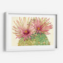 Cactus Blossoms I - Tim OToole | Cuadro decorativo de Canvas Lab