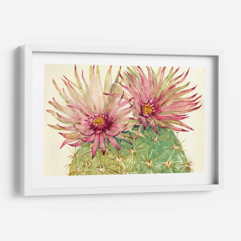 Cactus Blossoms I - Tim OToole | Cuadro decorativo de Canvas Lab