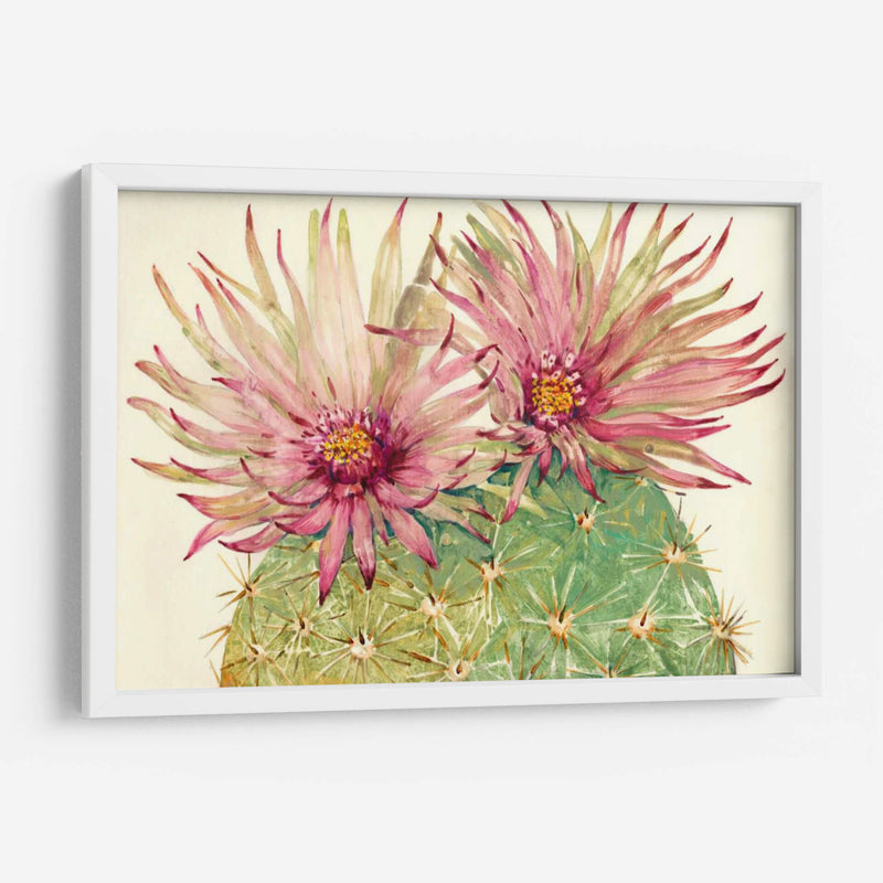 Cactus Blossoms I - Tim OToole | Cuadro decorativo de Canvas Lab