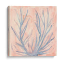 Algas Teñidas I - Renee W. Stramel | Cuadro decorativo de Canvas Lab