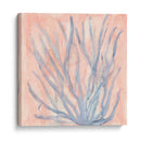 Algas Tintadas - Renee W. Stramel | Cuadro decorativo de Canvas Lab