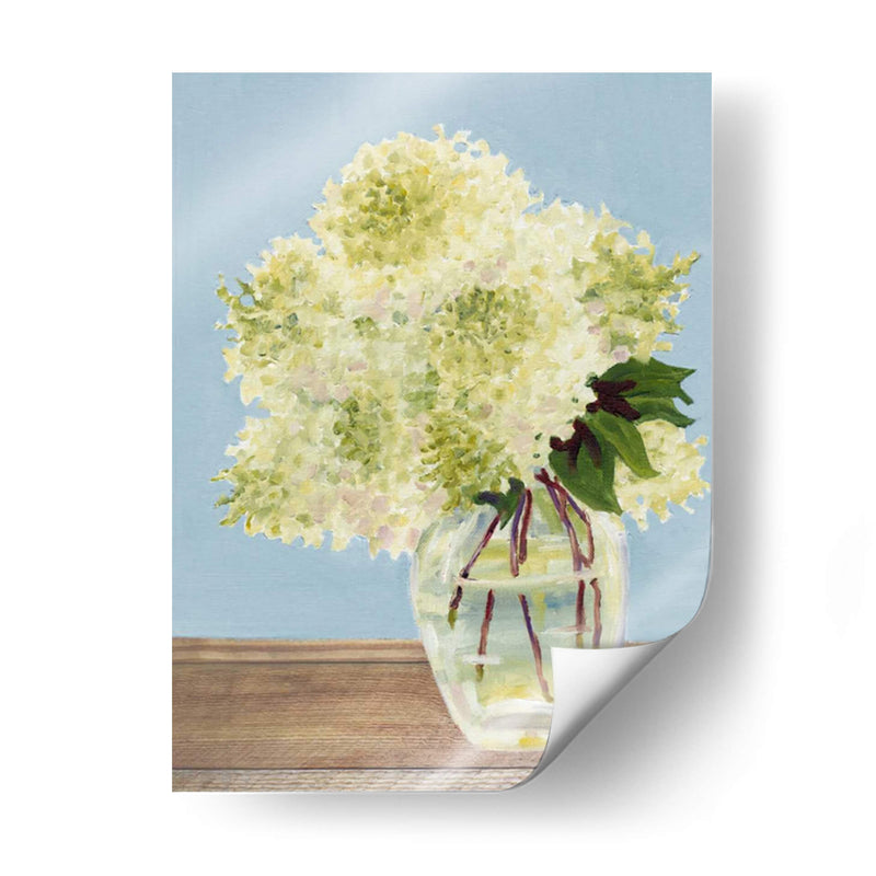 Hydrangea Jarrón Ii - Dianne Miller | Cuadro decorativo de Canvas Lab