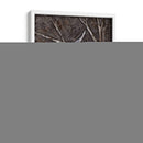 Chickadee Y Tulipanes Ii - Jade Reynolds | Cuadro decorativo de Canvas Lab