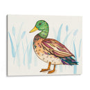 Humedal Mallard I - Rebekah Ewer | Cuadro decorativo de Canvas Lab