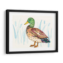 Humedal Mallard I - Rebekah Ewer | Cuadro decorativo de Canvas Lab