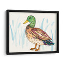 Humedal Mallard I - Rebekah Ewer | Cuadro decorativo de Canvas Lab
