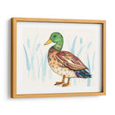 Humedal Mallard I - Rebekah Ewer | Cuadro decorativo de Canvas Lab