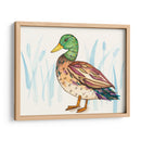Humedal Mallard I - Rebekah Ewer | Cuadro decorativo de Canvas Lab