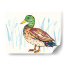 Humedal Mallard I - Rebekah Ewer | Cuadro decorativo de Canvas Lab