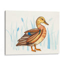 Humedal Mallard Ii - Rebekah Ewer | Cuadro decorativo de Canvas Lab