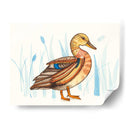 Humedal Mallard Ii - Rebekah Ewer | Cuadro decorativo de Canvas Lab