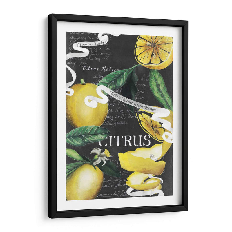 Pizarra Citrus Ii - Grace Popp | Cuadro decorativo de Canvas Lab