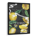 Pizarra Citrus Ii - Grace Popp | Cuadro decorativo de Canvas Lab