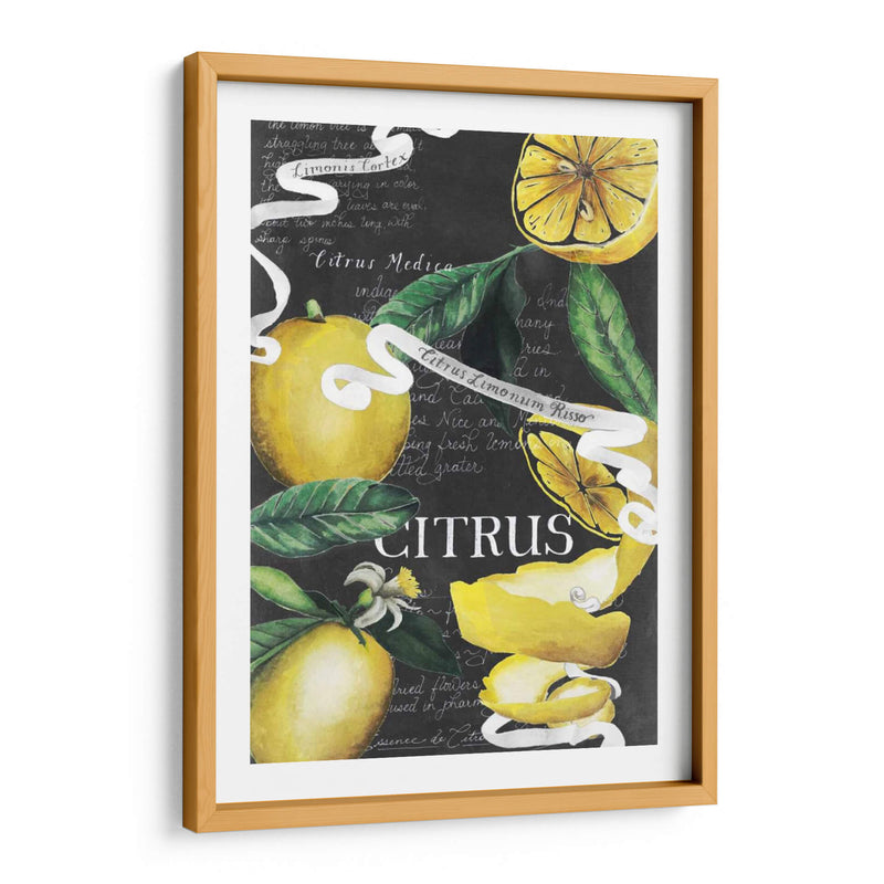 Pizarra Citrus Ii - Grace Popp | Cuadro decorativo de Canvas Lab