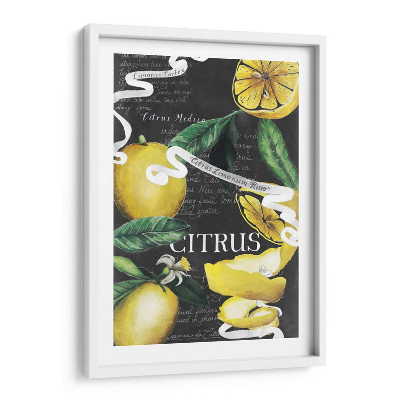 Pizarra Citrus Ii - Grace Popp | Cuadro decorativo de Canvas Lab