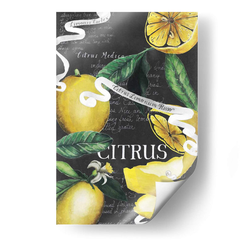 Pizarra Citrus Ii - Grace Popp | Cuadro decorativo de Canvas Lab