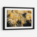 Deseo Floreciente - Tailandia - Beverly Factor | Cuadro decorativo de Canvas Lab