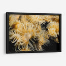 Deseo Floreciente - Tailandia - Beverly Factor | Cuadro decorativo de Canvas Lab