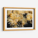 Deseo Floreciente - Tailandia - Beverly Factor | Cuadro decorativo de Canvas Lab