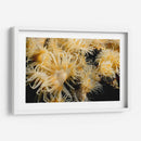 Deseo Floreciente - Tailandia - Beverly Factor | Cuadro decorativo de Canvas Lab