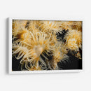 Deseo Floreciente - Tailandia - Beverly Factor | Cuadro decorativo de Canvas Lab