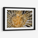 Dazzle Puro - N. Sulawesi, Indonesia - Beverly Factor | Cuadro decorativo de Canvas Lab