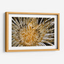Dazzle Puro - N. Sulawesi, Indonesia - Beverly Factor | Cuadro decorativo de Canvas Lab