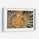 Dazzle Puro - N. Sulawesi, Indonesia - Beverly Factor | Cuadro decorativo de Canvas Lab