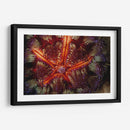 Poder De Star - Indonesia - Beverly Factor | Cuadro decorativo de Canvas Lab