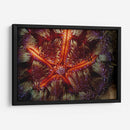 Poder De Star - Indonesia - Beverly Factor | Cuadro decorativo de Canvas Lab